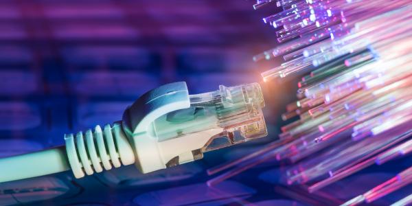 network cables closeup with fiber optical