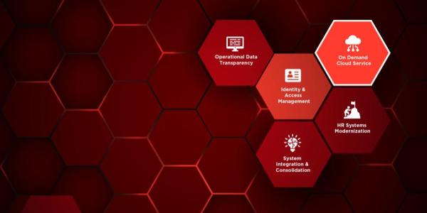 Big 5 in 2025 diagram, highlighting the On-Demand Cloud services initiative